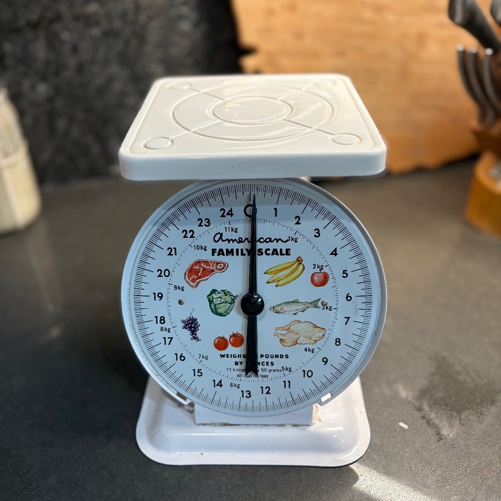 Vintage American Family Scale
